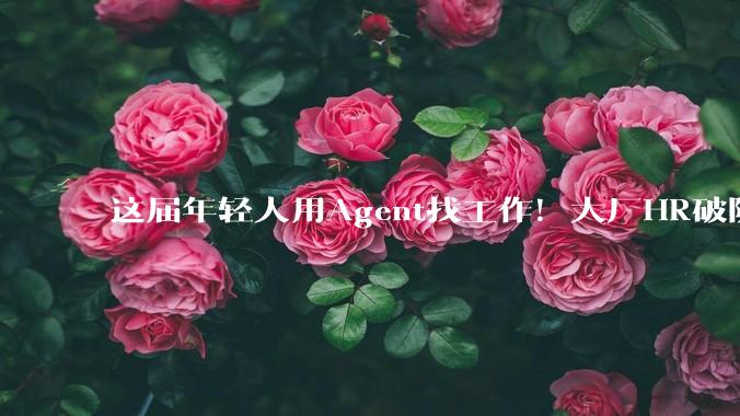 这届年轻人用Agent找工作！大厂HR破防：AI辅助面试太离谱_问题_Amazon_简历