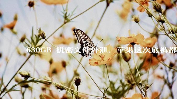 630GB 机密文件外泄，苹果这次底裤都快没了。。。_Pro_iPhone_芯片