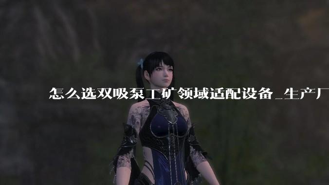 怎么选双吸泵工矿领域适配设备_生产厂家_定制_场景