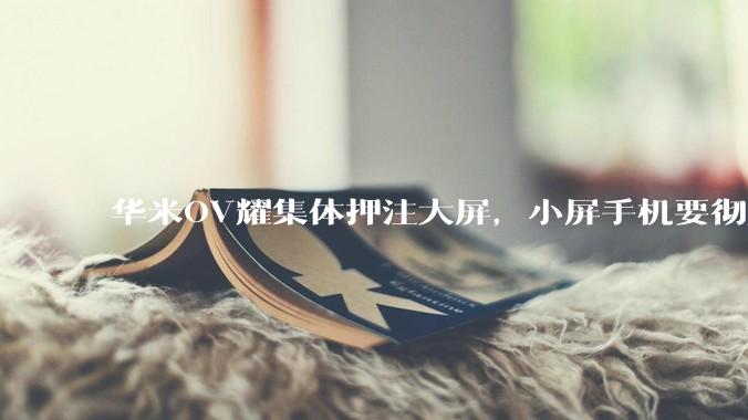 华米OV耀集体押注大屏，小屏手机要彻底凉了？_屏幕_vivo_直板机