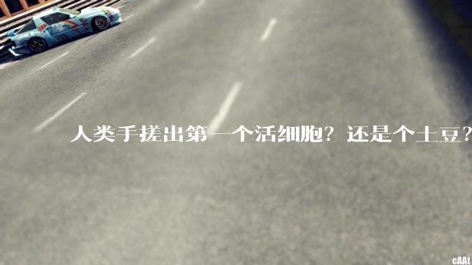 人类手搓出第一个活细胞？还是个土豆？_小子_合成_研究
