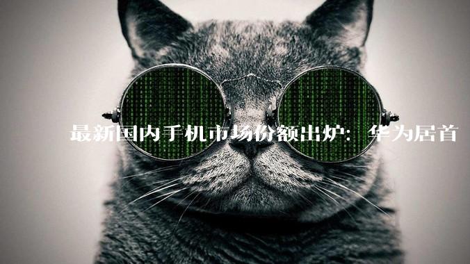最新国内手机市场份额出炉：华为居首 苹果第二_vivo_荣耀_小米