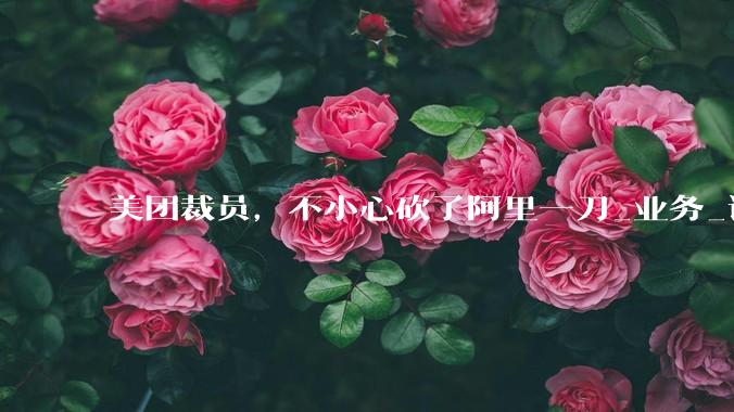 美团裁员，不小心砍了阿里一刀_业务_调整_人员