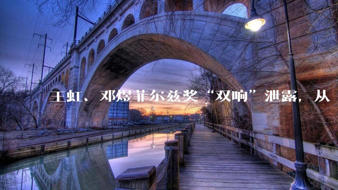 王虹、邓煜菲尔兹奖“双响”泄露，从“四常”到“五常”改写90年历史_数学_中国_丘成桐
