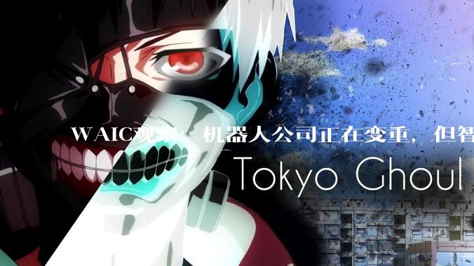 WAIC观察：机器人公司正在变重，但智身科技想做的是“复用”_规模化_关节_产品