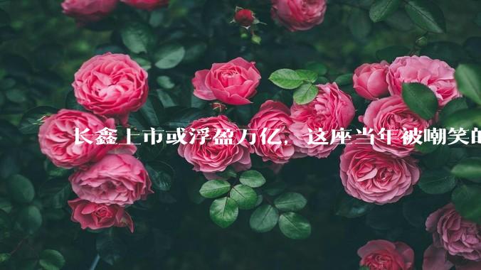 长鑫上市或浮盈万亿，这座当年被嘲笑的小城，赌赢了中国芯片_合肥_京东方_蔚来