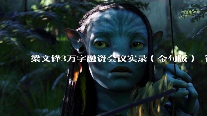 梁文锋3万字融资会议实录（金句版）_智谱_模型_什么