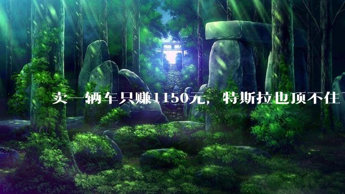 卖一辆车只赚1150元，特斯拉也顶不住了_收入_单车_季度
