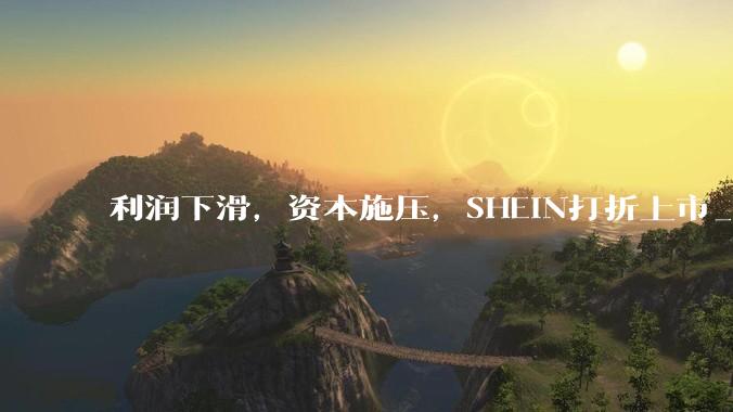 利润下滑，资本施压，SHEIN打折上市_资料集_关税壁垒_美国