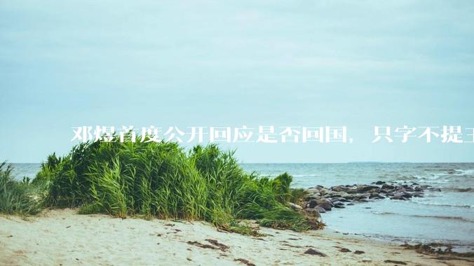 邓煜首度公开回应是否回国，只字不提王虹，却句句戳心_学术_科研_数学