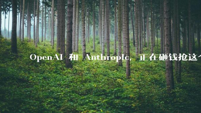 OpenAI 和 Anthropic，正在砸钱抢这个市场_Claude_for_教育