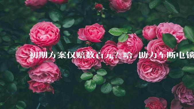 初期方案仅赔数百元？哈啰助力车断电锁死致用户十级伤残，最终赔付21.5万_当事人_车辆_故障
