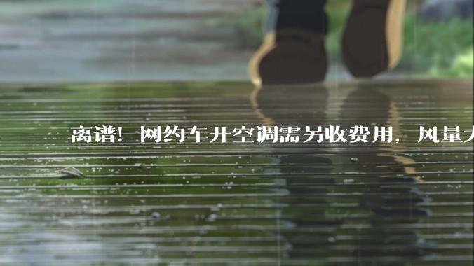 离谱！网约车开空调需另收费用，风量大还要按公里加钱？_乘客_平台_成本