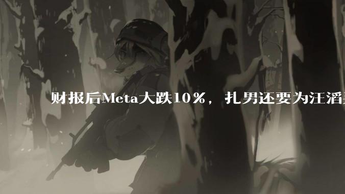财报后Meta大跌10％，扎男还要为汪滔买单多久？_扎克伯格_模型_公司
