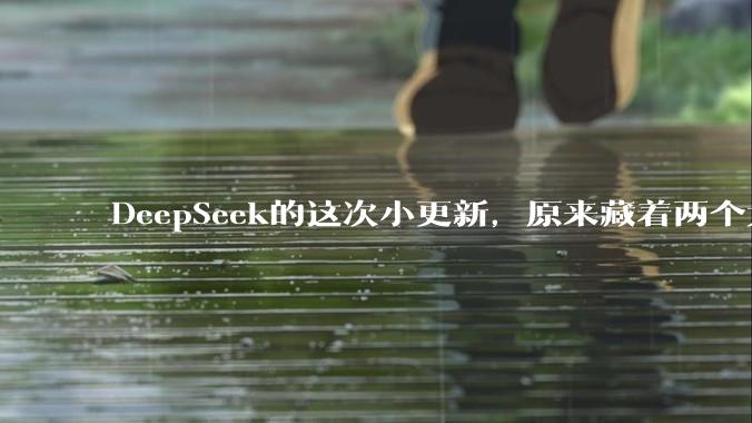 DeepSeek的这次小更新，原来藏着两个大招。。。_-Flash_模型_Pro