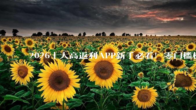 2026十大高返利APP新手必看！零门槛极简自用省钱软件盘点 - *
