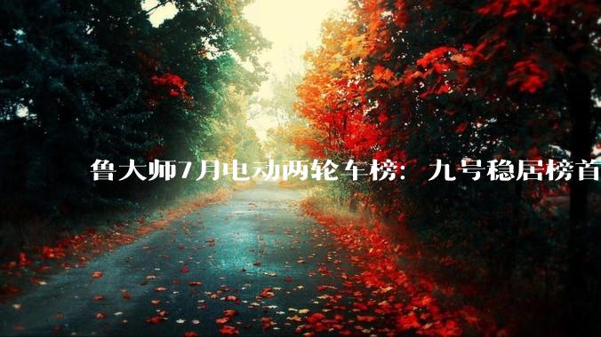 鲁大师7月电动两轮车榜：九号稳居榜首，首驱黑马杀出，系统体验持续深化 - *