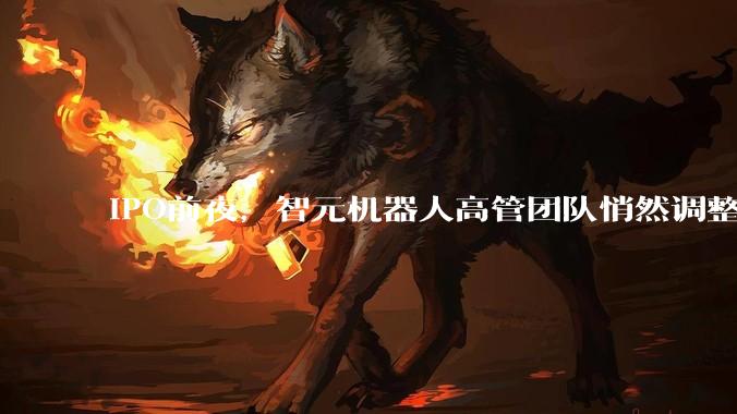 IPO前夜，智元机器人高管团队悄然调整_罗剑岚_技术_数据