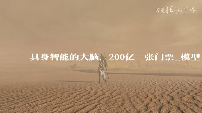 具身智能的大脑，200亿一张门票_模型_宇树_双系统