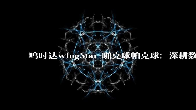 鸣时达wingStar-啪克球帕克球：深耕数字模拟体育，打造全龄运动产业新标杆 - *