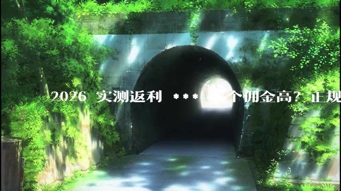 2026 实测返利 *** 哪个佣金高？正规的返利 *** 有哪些？ - *