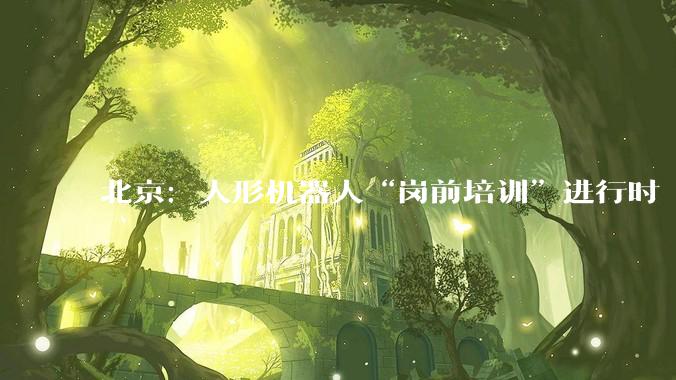 北京：人形机器人“岗前培训”进行时