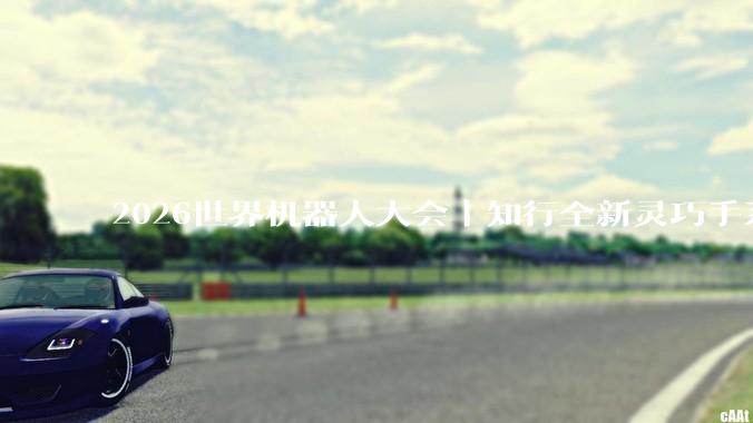 2026世界机器人大会｜知行全新灵巧手系列首发，展台人气持续高涨 - *