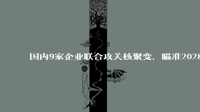 国内9家企业联合攻关核聚变，瞄准2028年_中国_装置_环流