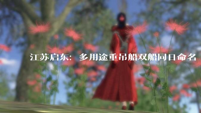 江苏启东：多用途重吊船双船同日命名