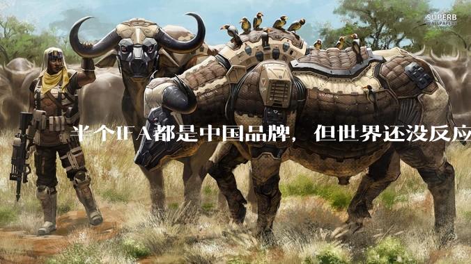 半个IFA都是中国品牌，但世界还没反应过来_海尔_全球_家电