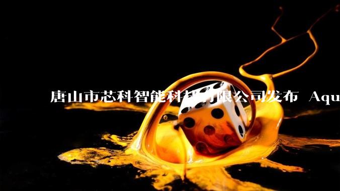 唐山市芯科智能科技有限公司发布 AquaPlex‑45 液冷智算舱，开启算力部署新范式 - *