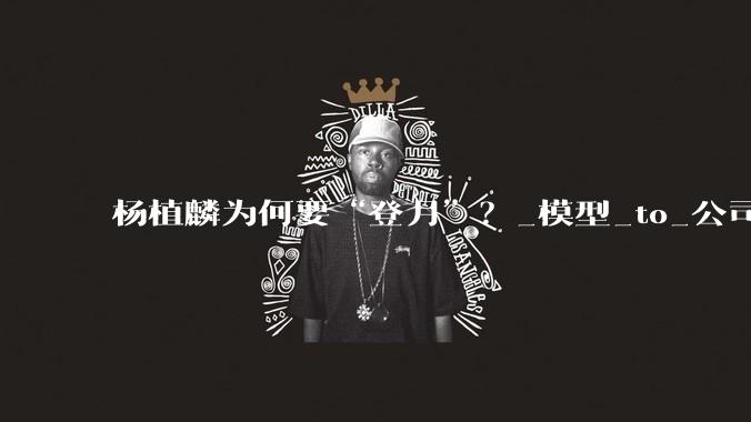 杨植麟为何要“登月”？_模型_to_公司
