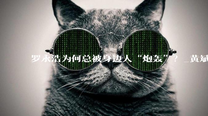 罗永浩为何总被身边人“炮轰”？_黄斌_郑刚_微博