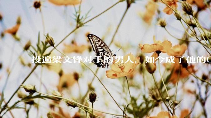 投遍梁文锋对手的男人，如今成了他的CFO_模型_DeepSeek_量化