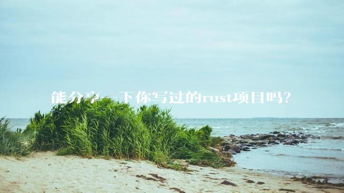 能分享一下你写过的rust项目吗？